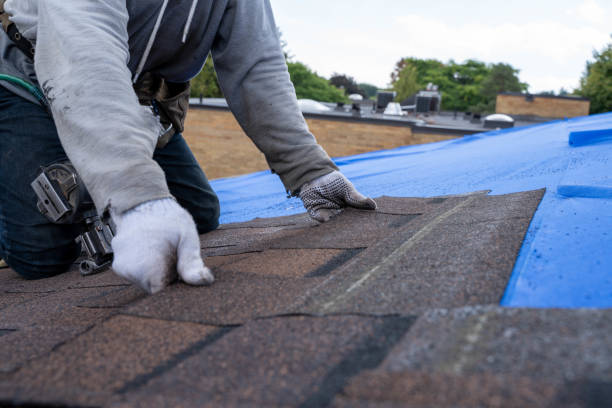 Roof Waterproofing Services in Lewiston, CA